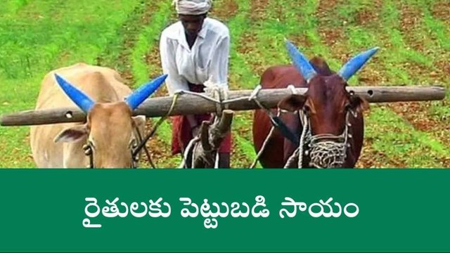 కాగజ్ నగర్: నేటి నుండి రైతుల ఖాతాల్లో నగదు జమ