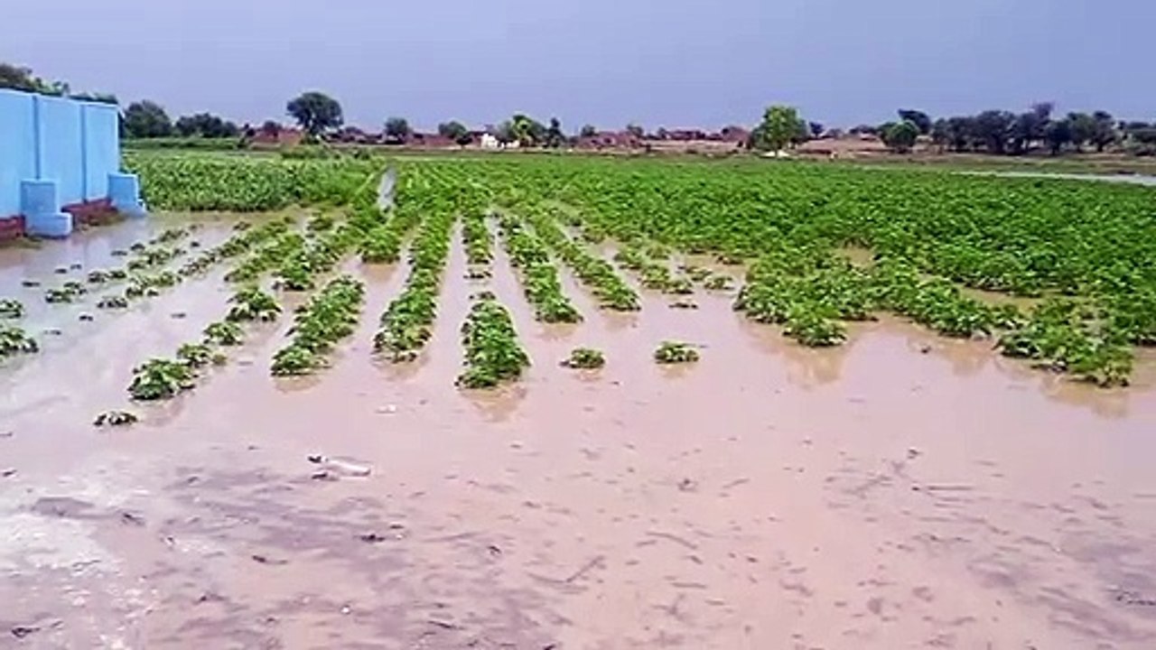 प्रदेश में तय समय पर मानसून का प्रवेश