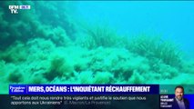 Pour les océans le mois de mai a été le plus chaud jamais enregistré avec 19,6 degrés enregistrés à leur surface