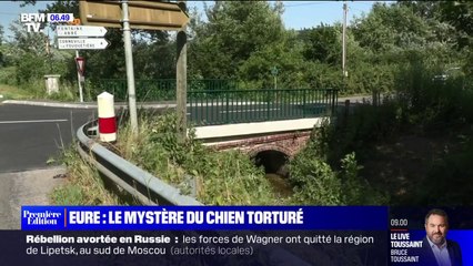 Dans l'Eure, un rottweiler a été retrouvé atrocement mutilé vendredi matin au bord d'une route