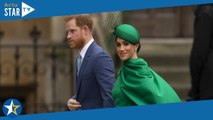 Prince Harry et Meghan Markle : Leur fille Lilibet snobée par Kate et William ? Leur réaction critiq