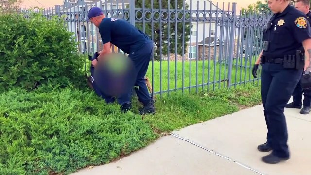 Police officers rescue deer stuck between bars of metal fence using 'jaws of life' tool