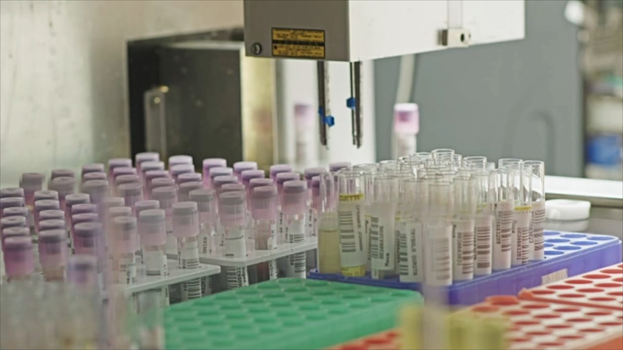 Putzkraft steckt gefrierschrank aus: 20 jahre forschung zerstört