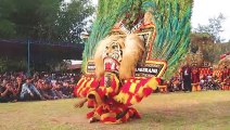 Komunitas Seniman Reog Regol Wengker Dalam Rangka Reuni Dan Halal  Bihalal