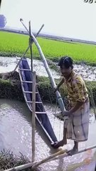 Simple but highly effective farming innovation #shorts #viral #shortsvideo #video #innovationhub