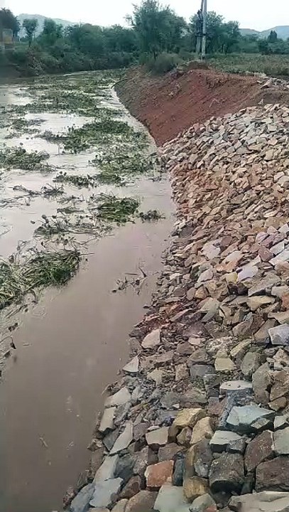 जयसमंद बांध में पानी ने दिया दस्तक देखें वीडियो