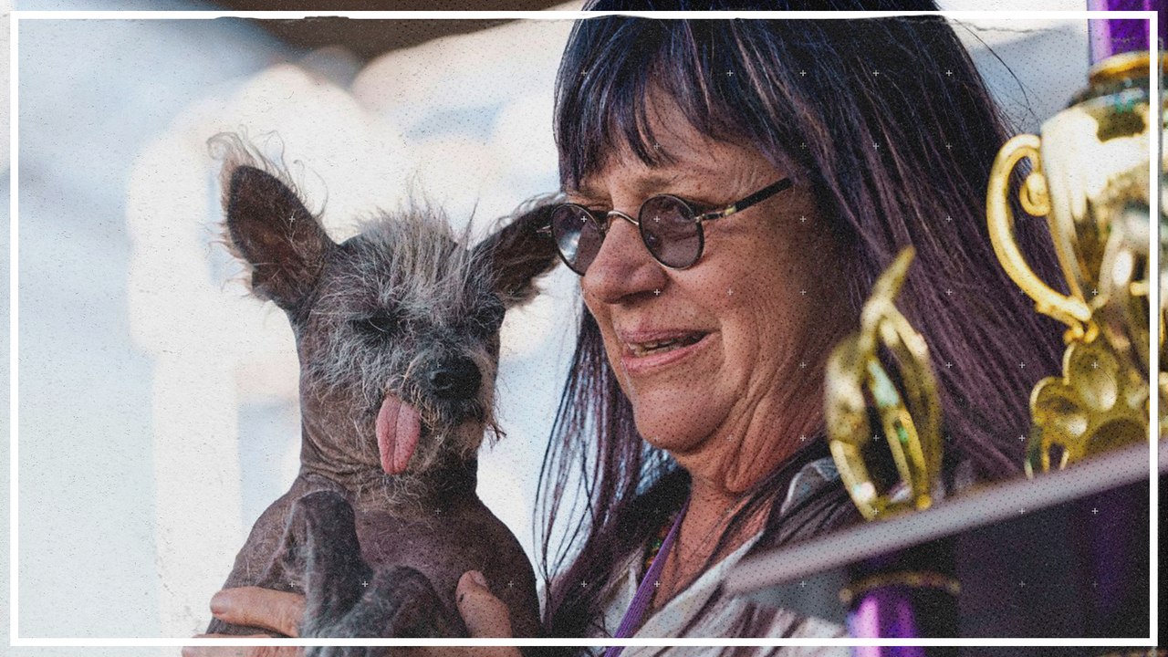 Scooter ist der hässlichste Hund der Welt