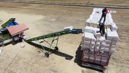 Diyarbakır’da 35 derece sıcakta tonlarca saman presliyorlar