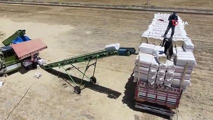 Ils pressent des tonnes de paille à Diyarbakir, où il fait une chaleur torride.