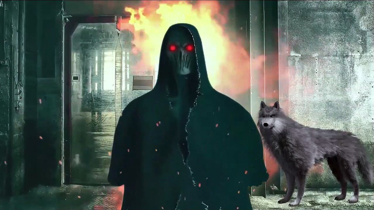 Die dunkle Seite des Hundetrainings