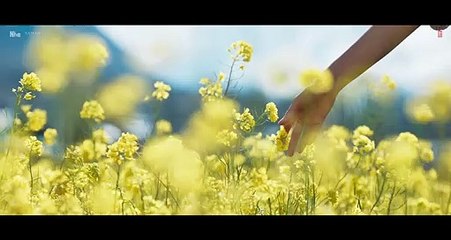 Pasoori Nu, SatyaPrem Ki Katha ,Kartik, Kiara ,Arijit, Rochak, Ali, Tulsi, Gurpreet ,Sajid N, Sameer