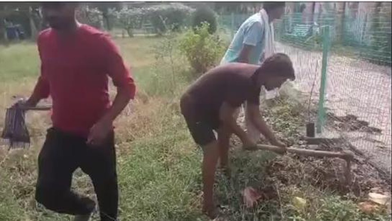 दमोह: समाजसेवियों ने पौधारोपण कर दिया पर्यावरण संरक्षण का ये संदेश....देखें रिपोर्ट