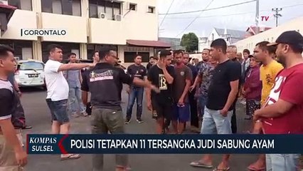 Polisi Tetapkan 11 Tersangka Judi Sabung Ayam