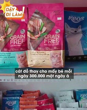 Khởi nghiệp từ cà phê mèo, cô gái và câu chuyện kinh doanh đáng ngưỡng mộ