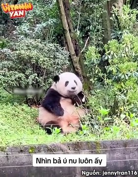 Công chúa Hoa Hoa và loạt phong thái nho nhã siêu đáng yêu