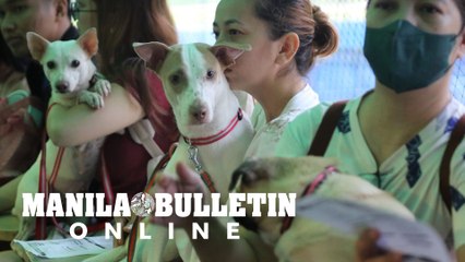 Hundreds of fur parents join the launch of 'Libreng Kapon at Ligate Para sa Aso'