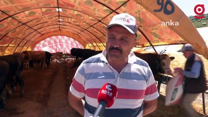 Ankara’da kurbanlıklar besicilerin elinde kaldı