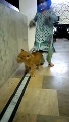 Your My Honey Buny | Girl playing Lion baby