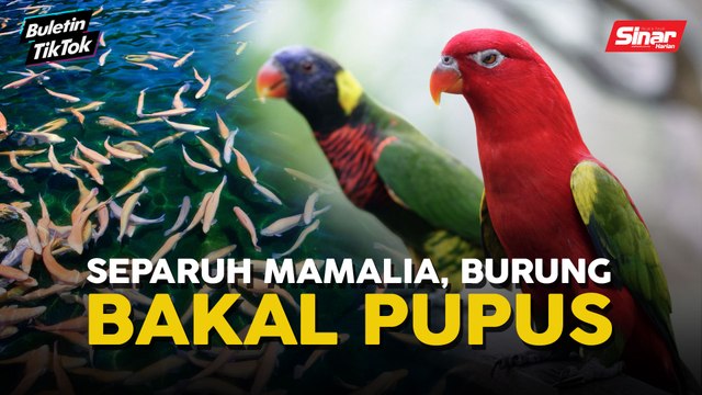 Mamalia, burung bakal pupus akibat perubahan iklim