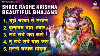shri radhe krishna~ Best Mridul krishna Shastri bhajan ~ New Video ~  @bankeybiharimusic