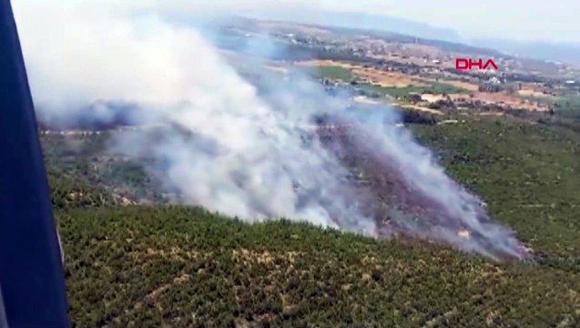 İzmir’de orman yangını! Karadan ve havadan müdahale ediliyor