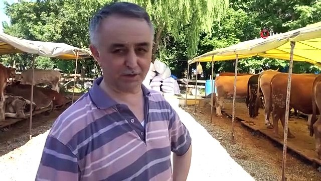 Les vendeurs sur le marché du qurban sont troublés par les ventes de produits laitiers et de qurban sur Internet.