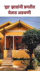 ह्या' झाडांनी प्रगतीत येतात अडचणी #Shorts SG5