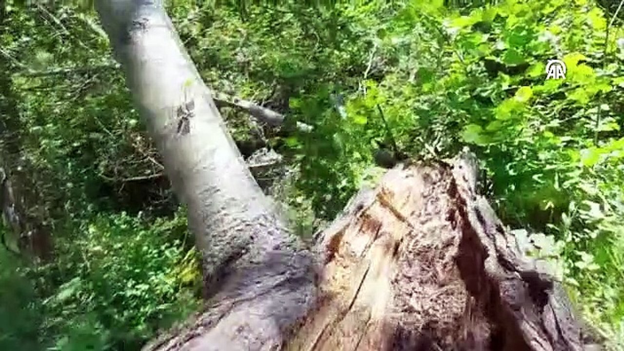Hitit yolu, bayram tatilini doğada geçirmek isteyenleri bekliyor