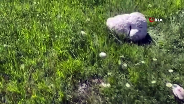 Un champignon géant de 13 kilogrammes a stupéfié ceux qui l'ont vu