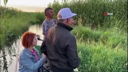 Ünlü profesörden manda kaymağı ile ilgili ilginç iddia