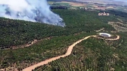 İzmir'de Orman Yangını Kontrol Altına Alındı