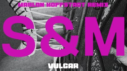 Sam Smith - VULGAR (Marlon Hoffstadt Remix / Visualiser)
