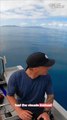 People on boat lose their minds in excitement after watching whales jumping out of water || Best of Internet