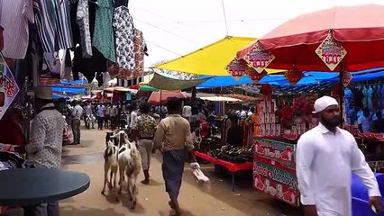 Yeni Delhi'deki Keçi Pazarı Kurban Bayramı İçin Hareketlendi
