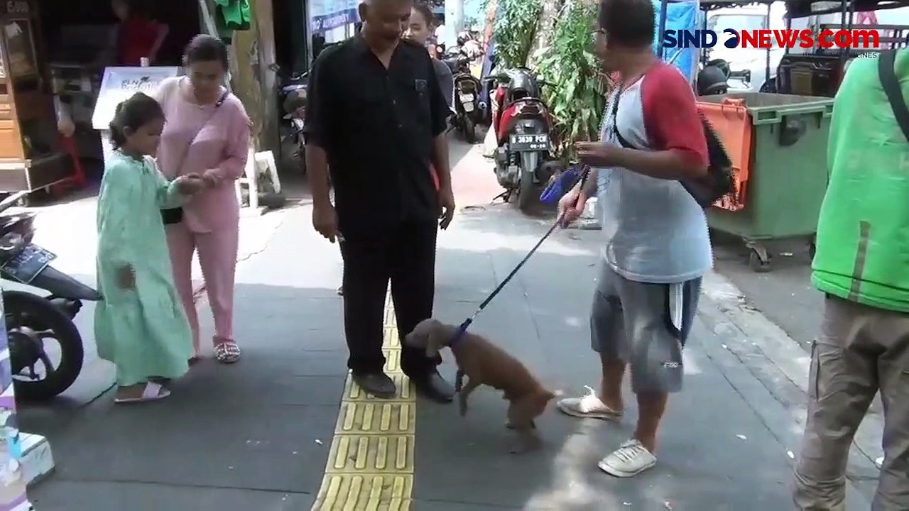 rin In the face of hunger and chill, these dogs exemplify unwavering