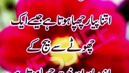 Best Collection Of Hazrat Ali Quotes About Life And People In Urdu