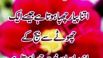 Best Collection Of Hazrat Ali Quotes About Life And People In Urdu