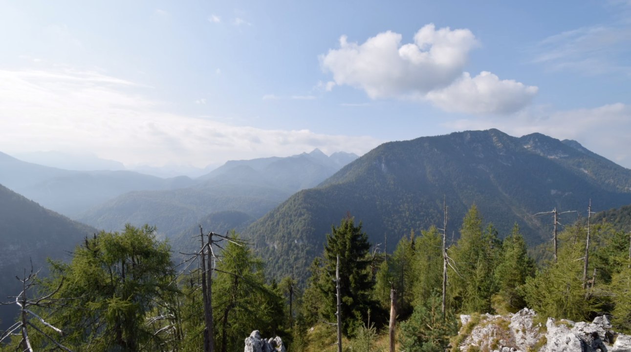 Chiemgau: Bergsteiger stürzt gemeinsam mit Hund in den Tod
