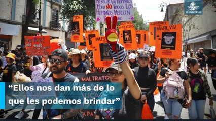 Download Video: ¡Ni una patita menos! Marchan a favor de los derechos de los animales