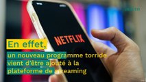 Netflix : cette nouvelle série torride et addictive à dévorer en seulement 4h