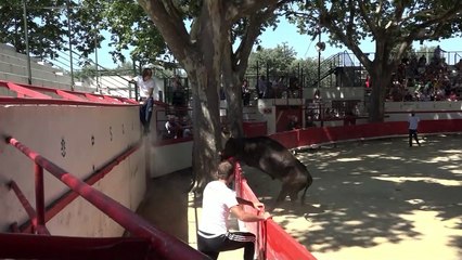 Avant course à la 3è du Gland d'Or