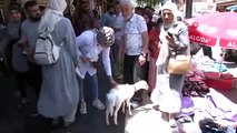 Des agneaux d'Istanbul ont visité les lieux historiques de Diyarbakir