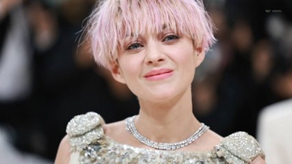 L'actrice Marion Cotillard soutient du collectif dissous Les soulèvements de la terre