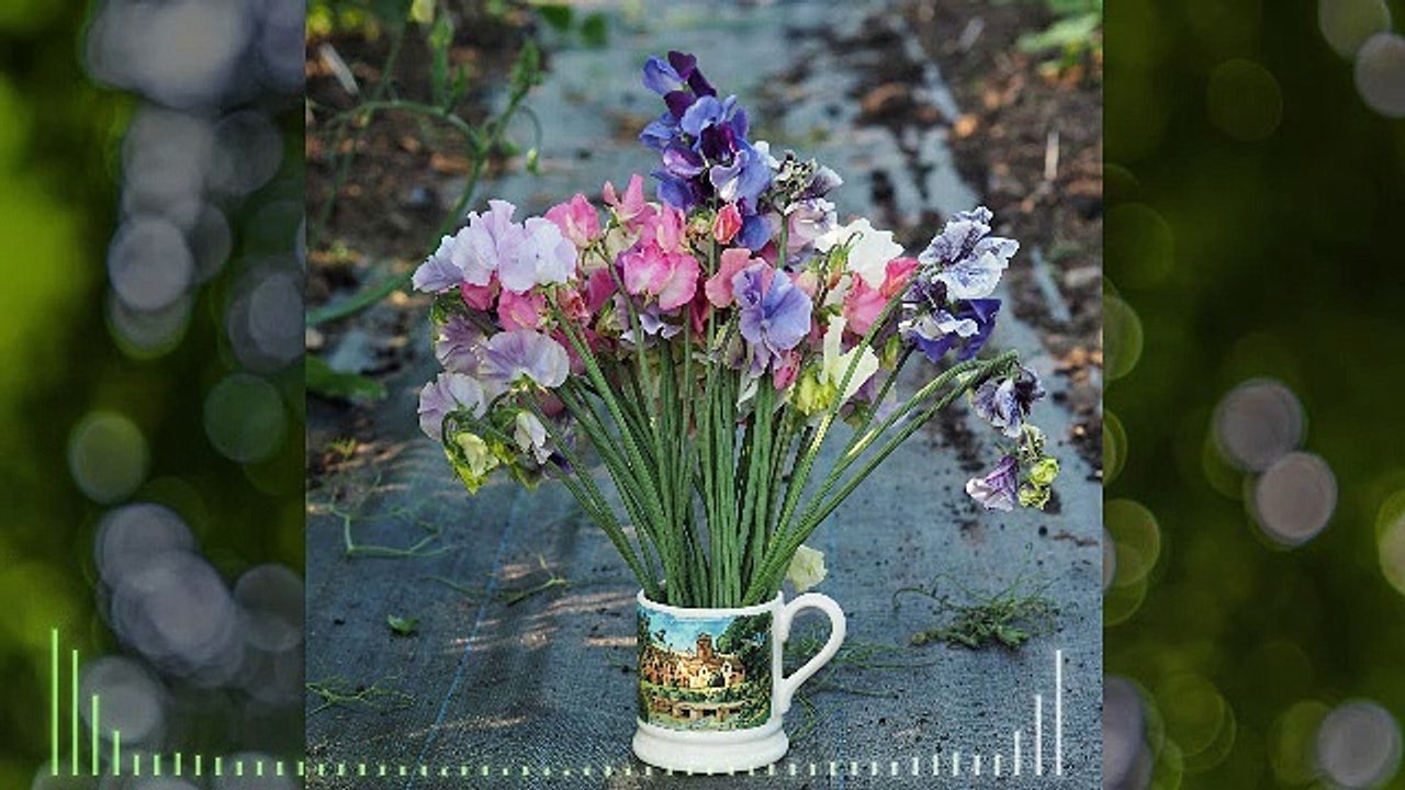 Wolfgang Amadeus Mozart-Sonata No. 11 A major I - Tema con Variazione-REMIX