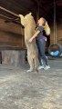 Owner Hugs Her Pet Puma