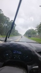 Serviceman Moves Turtle Off Roadway