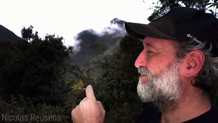 Sword-billed Hummingbird Lands on Man's Finger