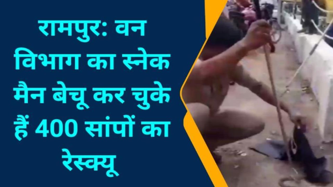 रामपुर: आज आपको मिलवाते है 400 से अधिक जहरीले सांपों को पकड़ने वाले स्नेक मैन से