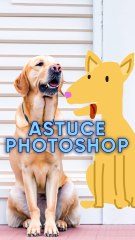 Photoshop Beta transforme vos dessins moches en photos