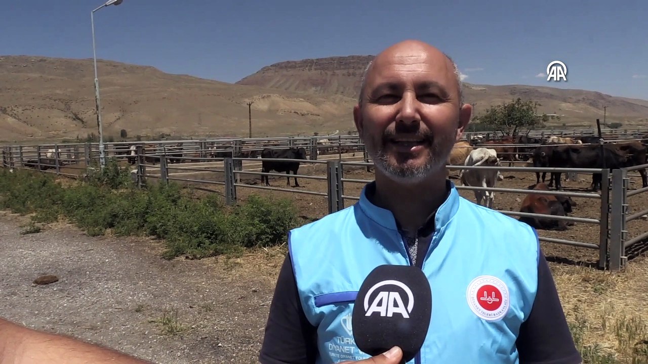 Van'da TDV'nin vekaleten kurban kesimi yapacağı tesislerde hazırlıklar tamamlandı